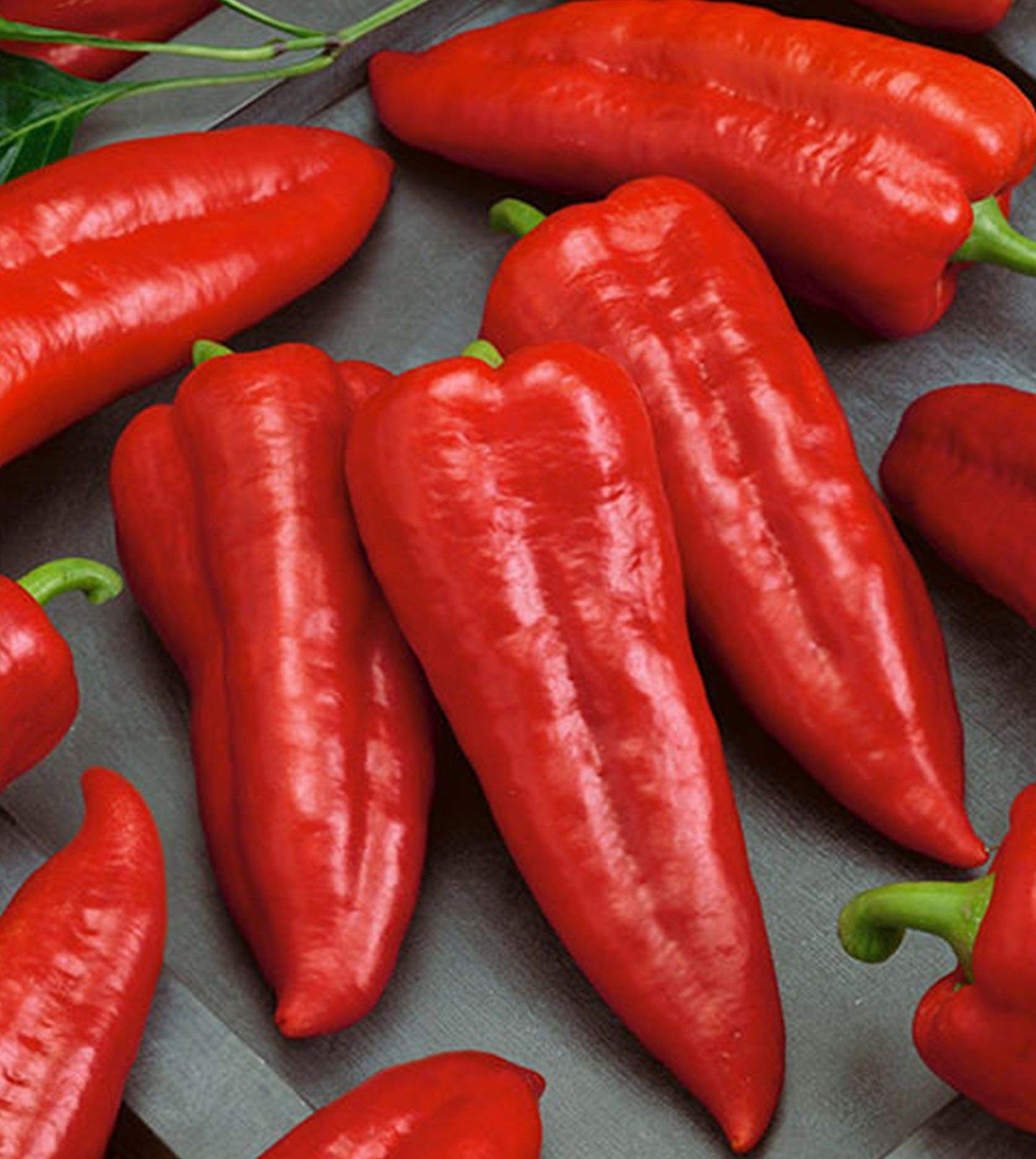 Marconi Red Pepper on the plant