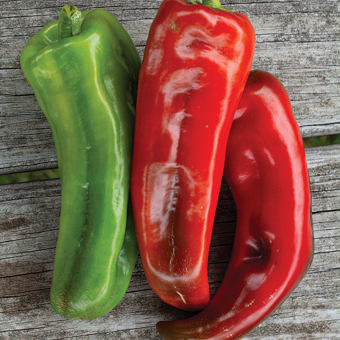 Marconi Red Pepper on the plant