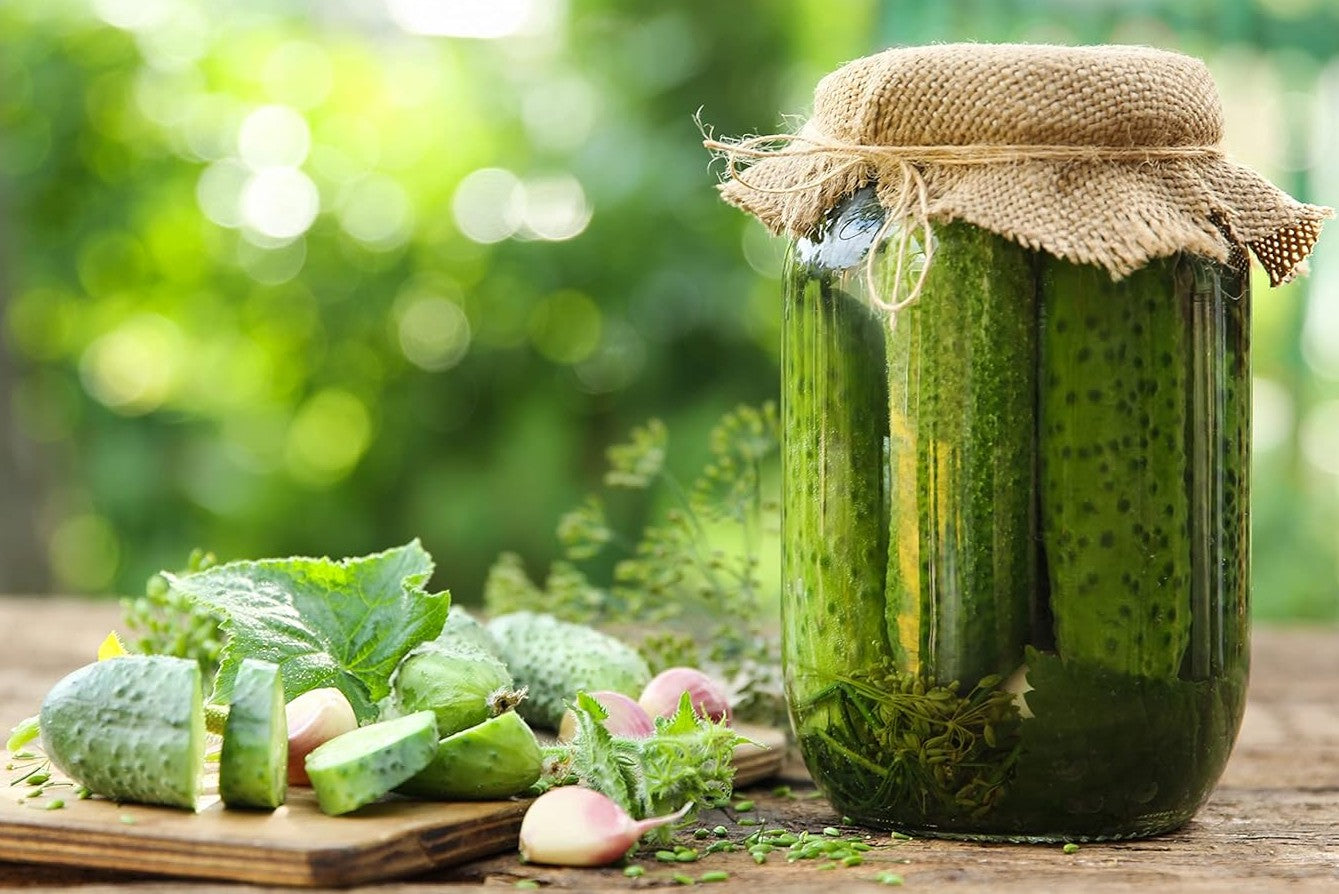 National Pickling Cucumber growing on the vine