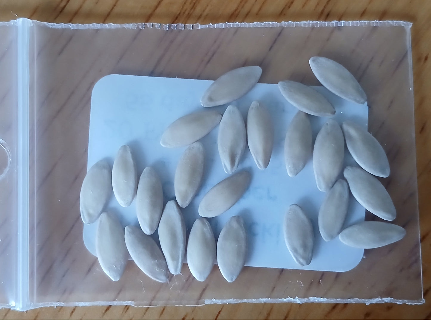 National Pickling Cucumber Heirloom Seeds