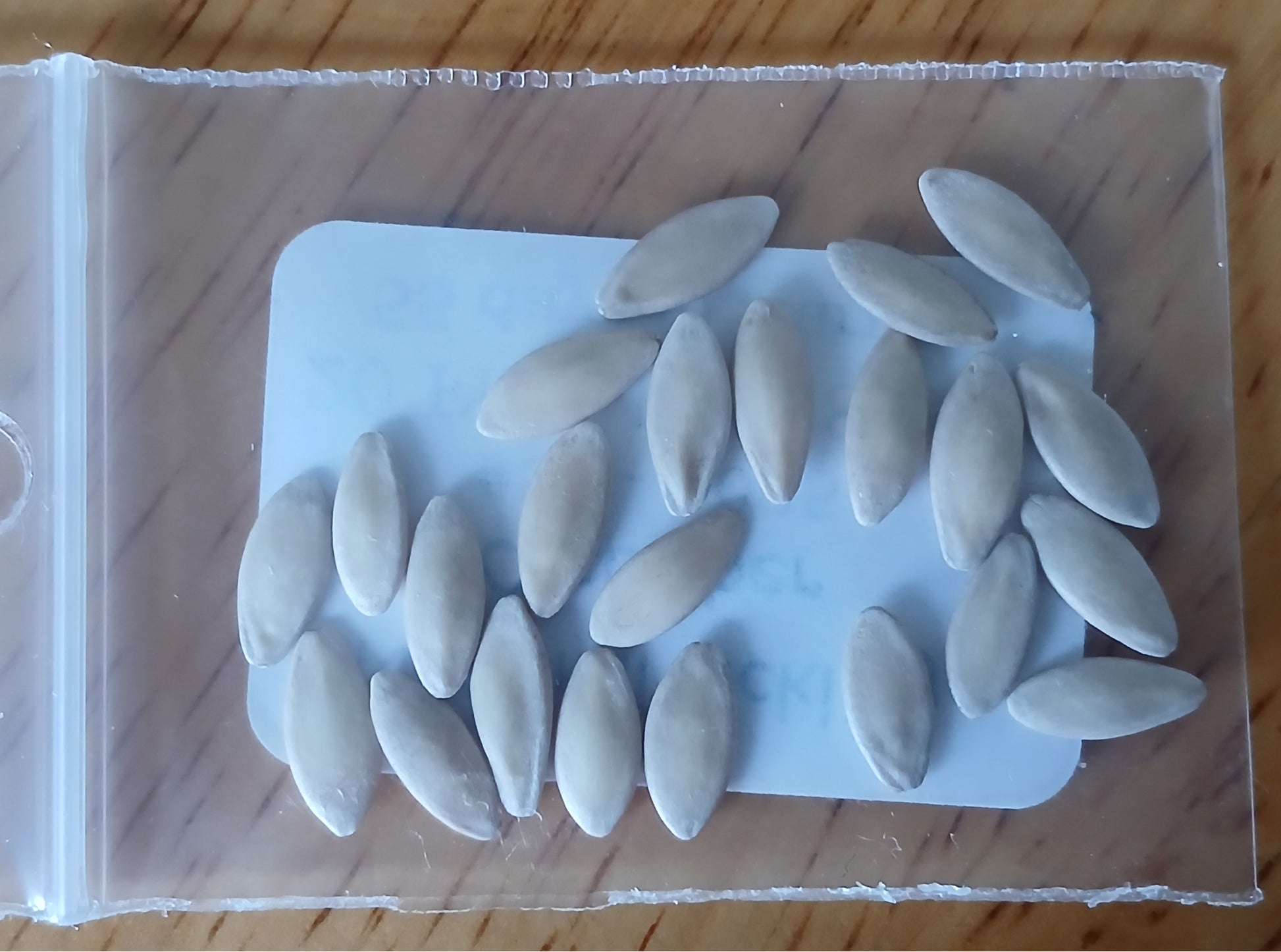 National Pickling Cucumber Heirloom Seeds