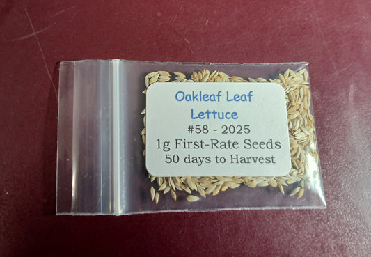 Oakleaf Lettuce Seeds – 1g (~900 Seeds)