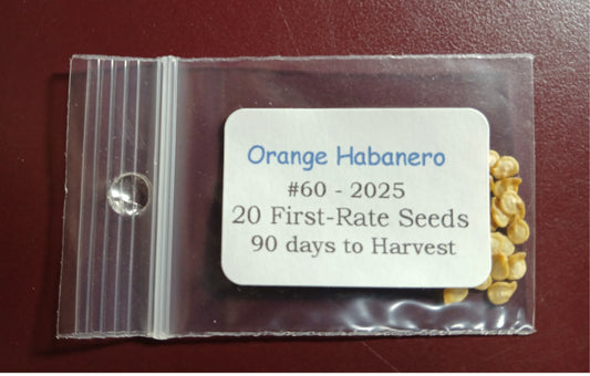 20 - Premium Heirloom Harvest of Super-Hot Orange Habanero Pepper Seeds