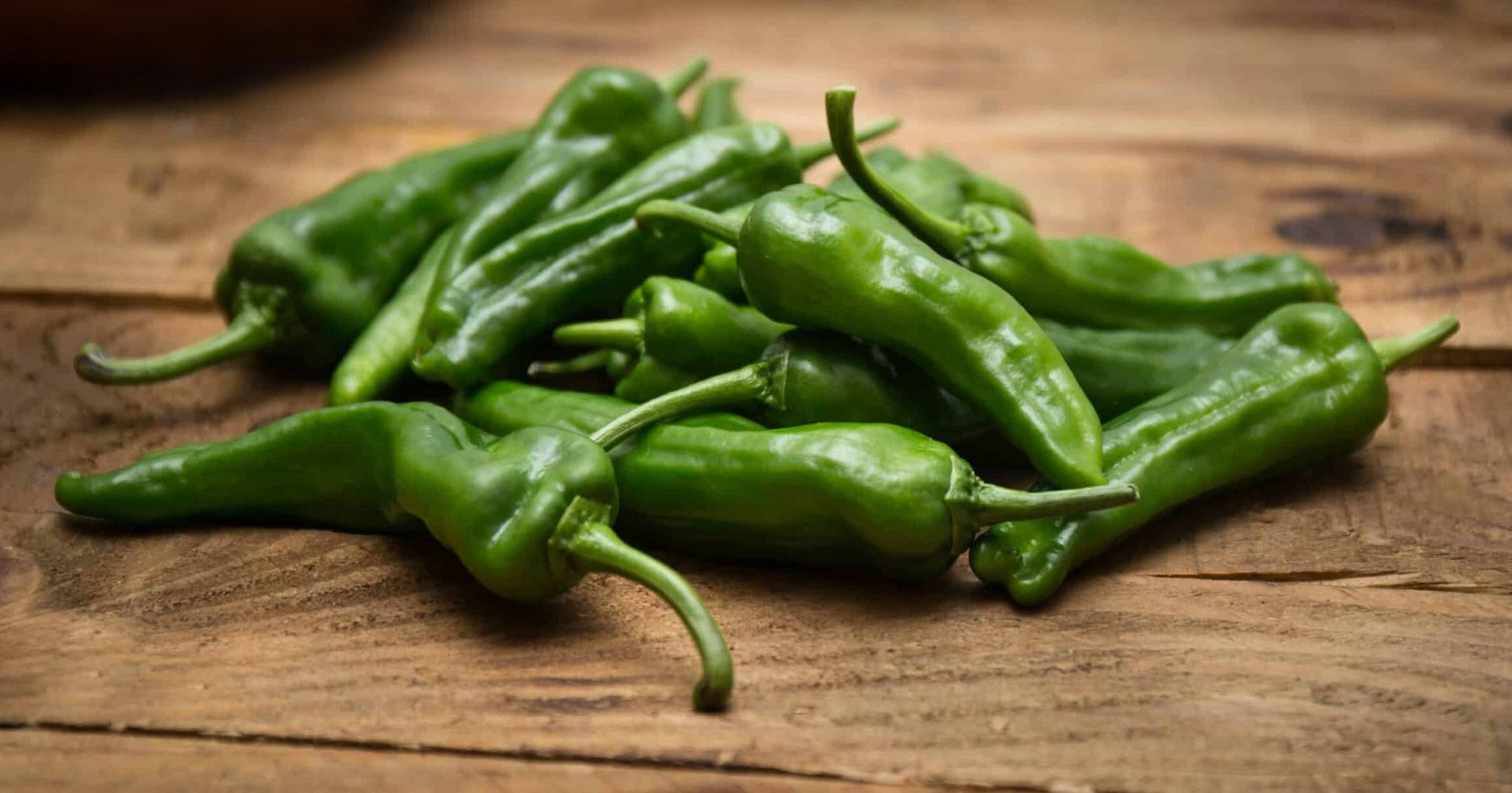 Shishito Pepper on the plant