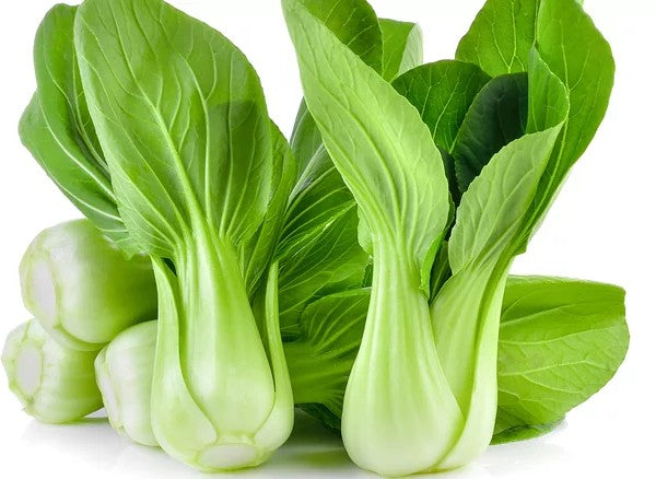 Pak Choi Chinese Cabbage Growing on the plant