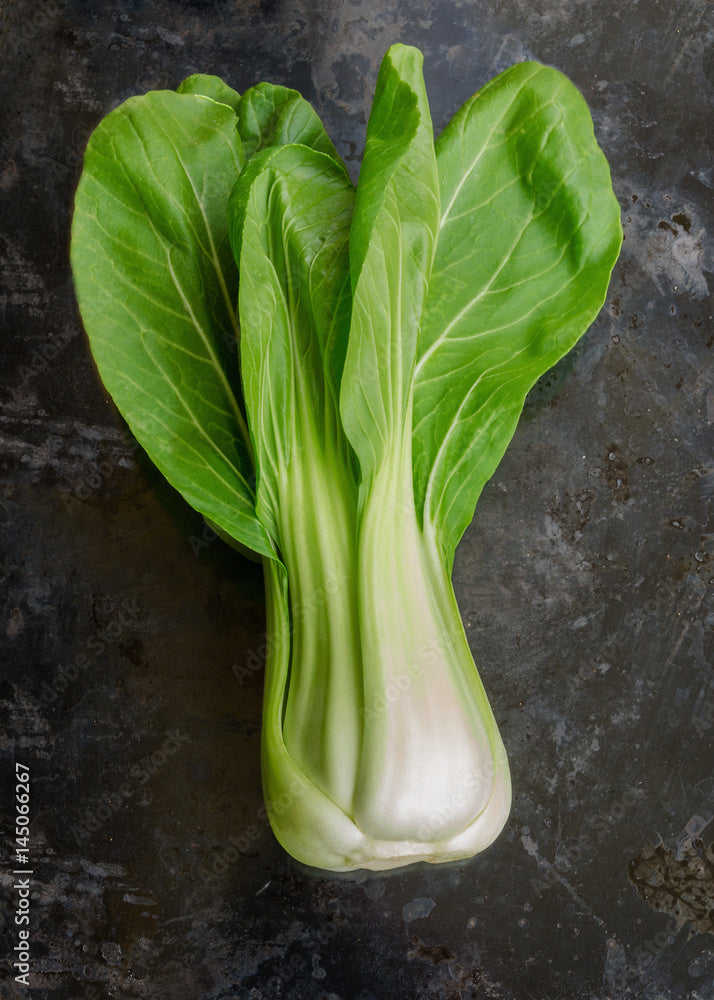 Pak Choi Chinese Cabbage Growing on the plant