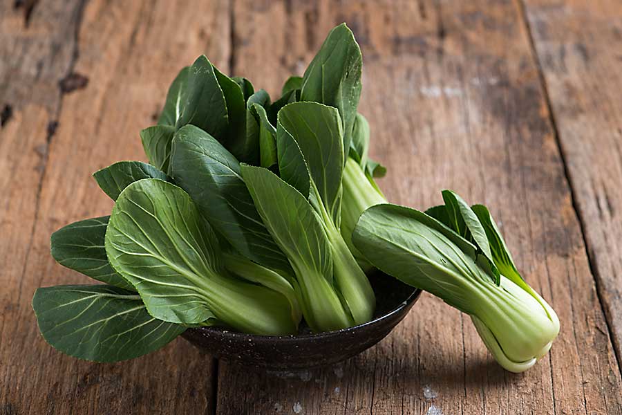 Pak Choi Chinese Cabbage Growing on the plant