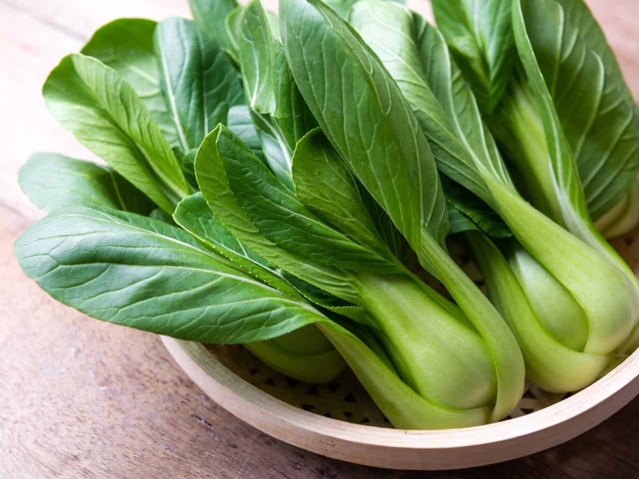 Pak Choi Chinese Cabbage Growing on the plant