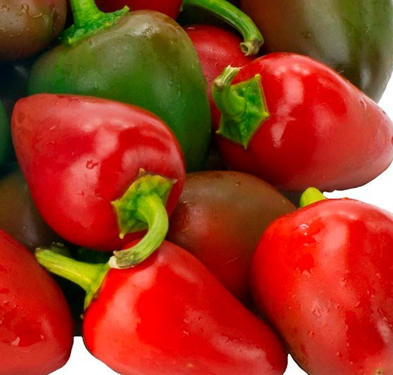 Sweet Pimento Pepper on the plant