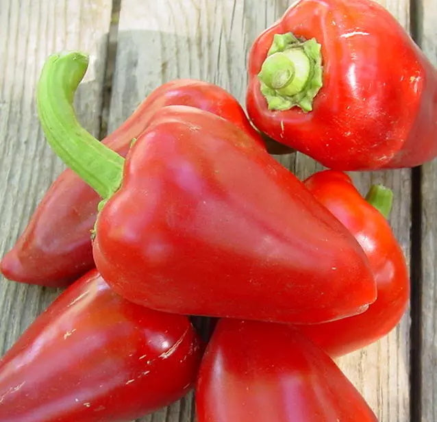 Sweet Pimento Pepper on the plant