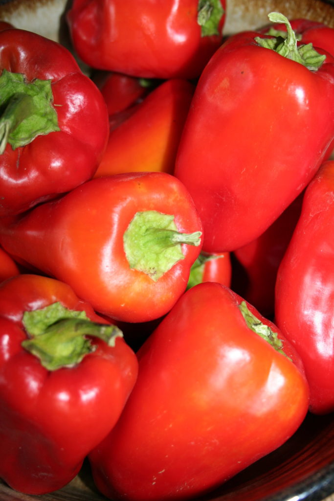 Sweet Pimento Pepper on the plant