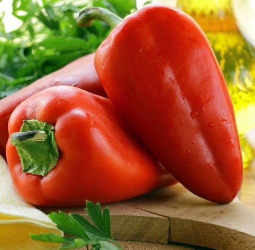 Sweet Pimento Pepper on the plant
