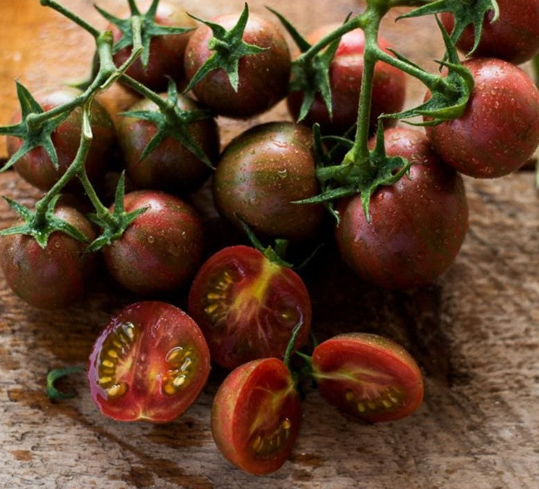 Purple Bumble Bee Cherry Tomato on the plant