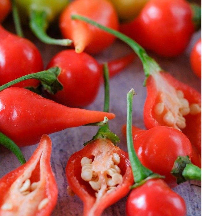 Biquinho Red Pepper on the plant