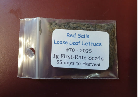 Red Sails Loose Leaf Lettuce Seeds – 1g (~900 Seeds)