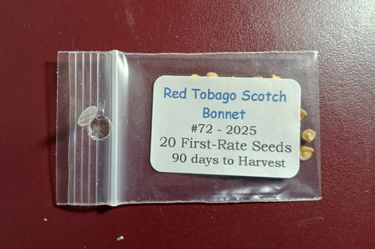20 - Fresh Harvest of Heirloom Premium Red Scotch Bonnet  Pepper Seeds