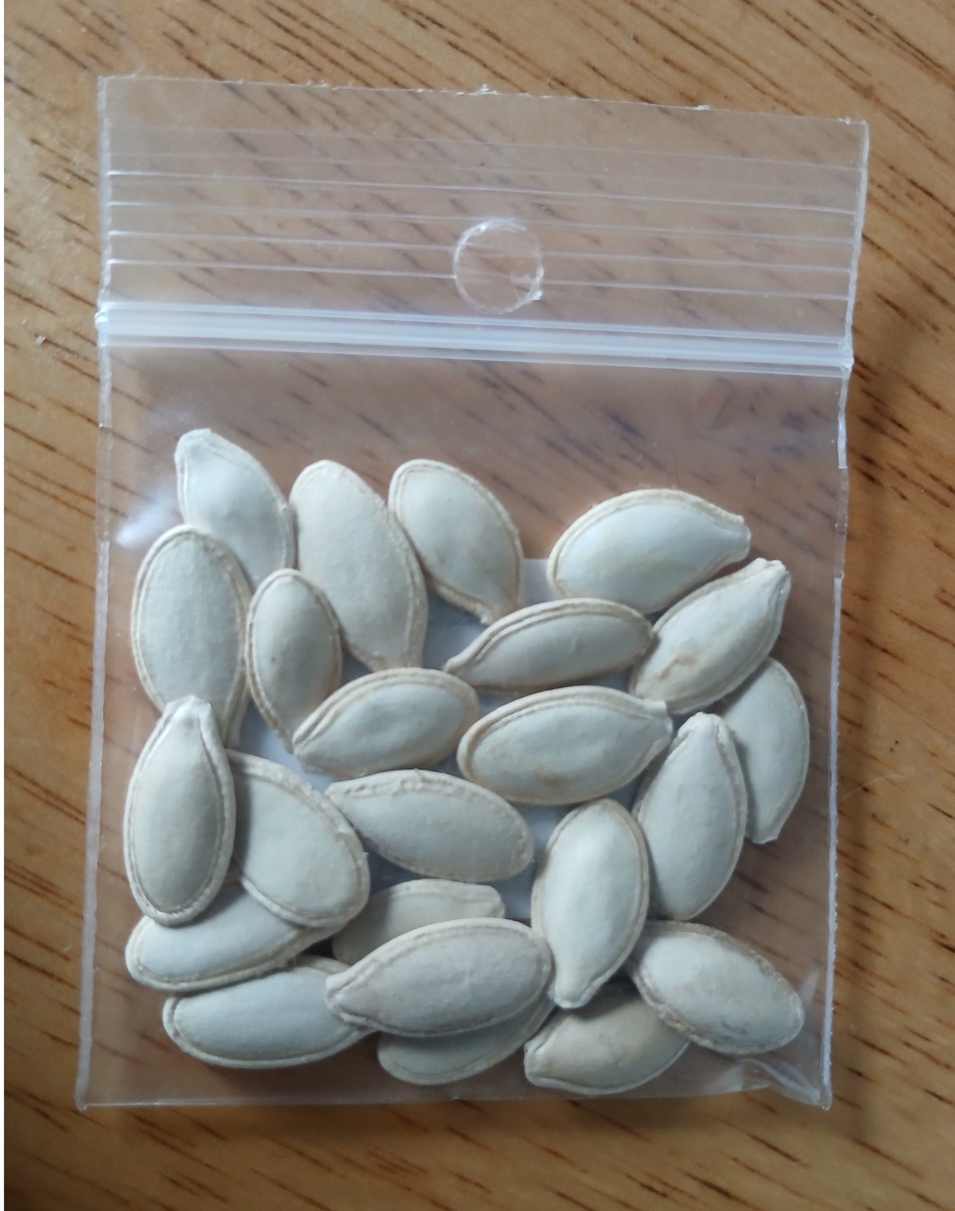 Round Zucchini Squash Heirloom Seeds