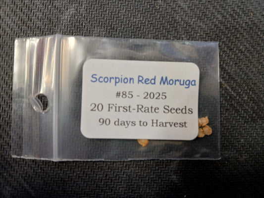 20 - Heirloom Harvest of Fresh Premium Scorpion Moruga Red Pepper Seeds