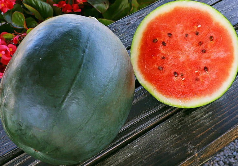 Sugar Baby Watermelon growing on the vine