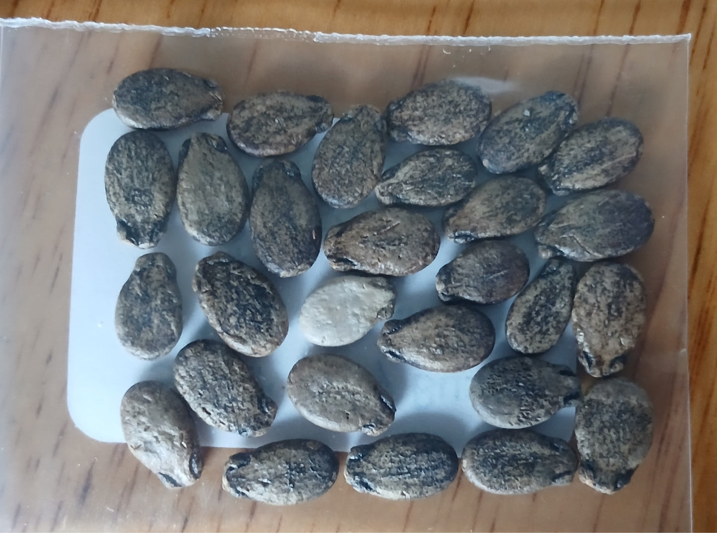 Sugar Baby Watermelon Heirloom seeds