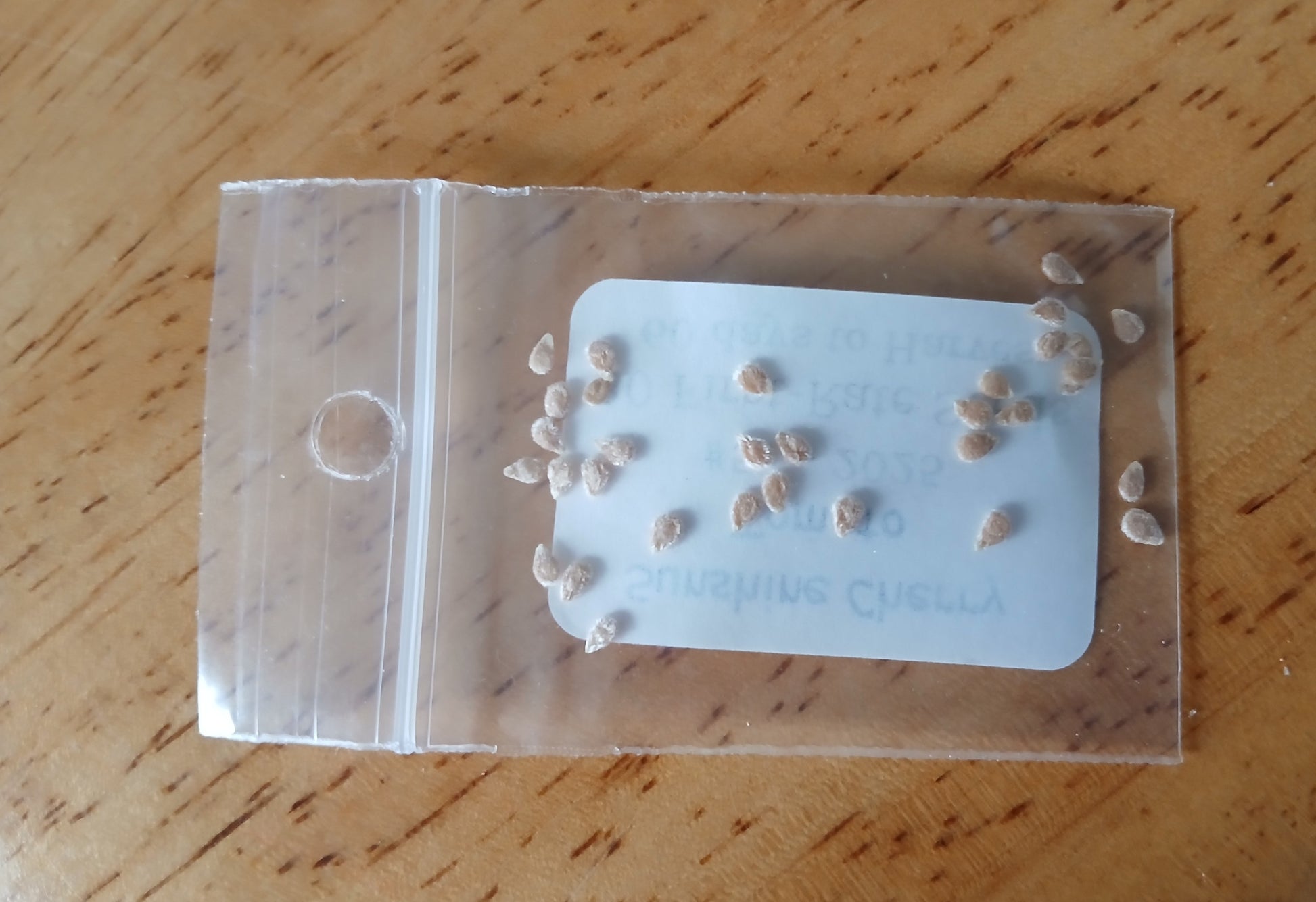 Sunshine Cherry Tomato Heirloom seeds