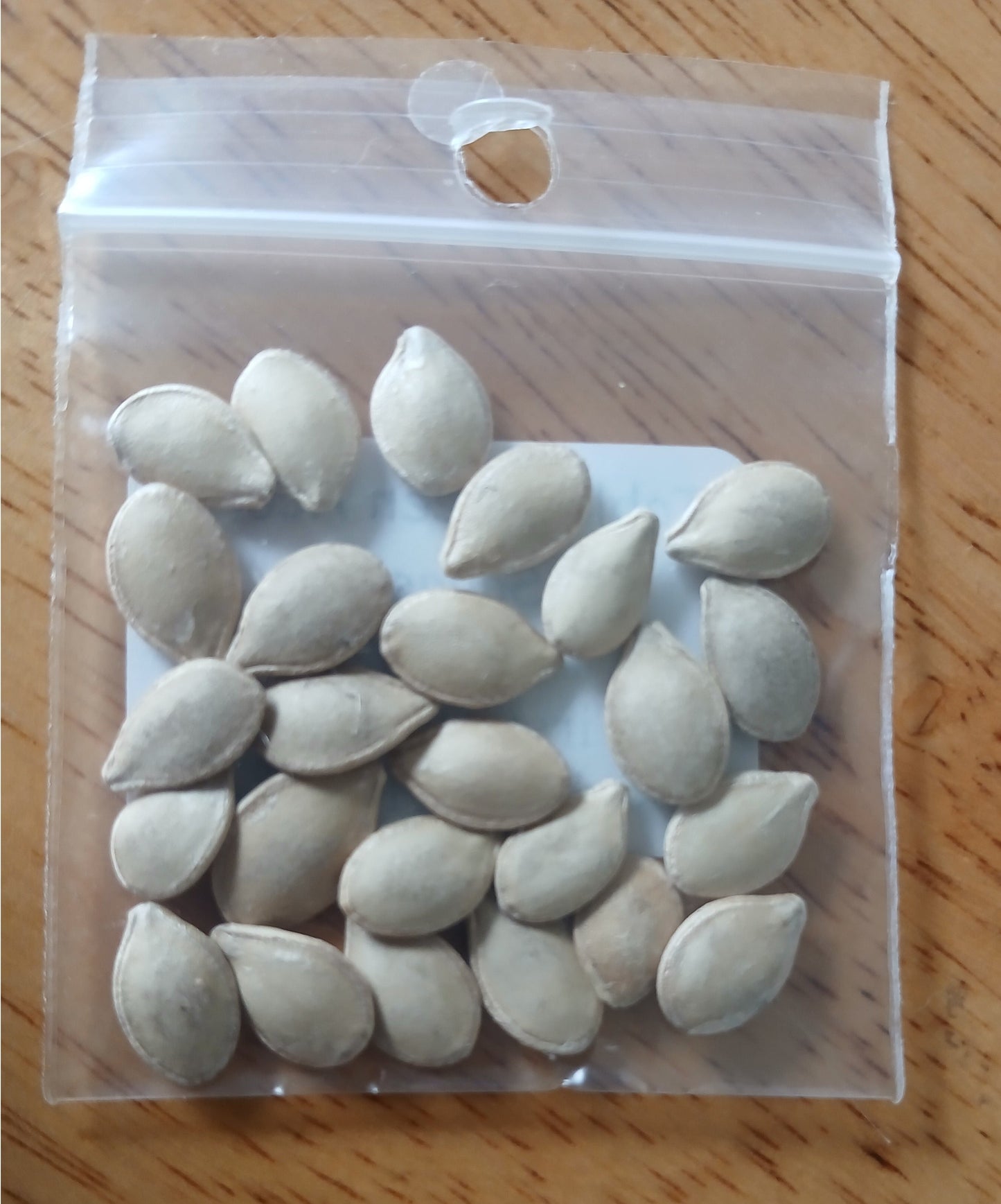 Waltham Butternut Squash Heirloom seeds