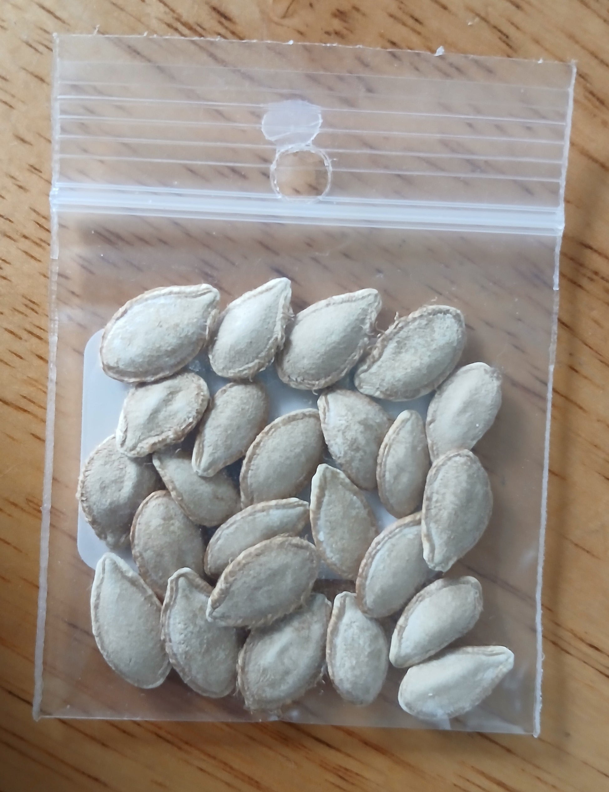 Waltham Butternut Squash Heirloom seeds