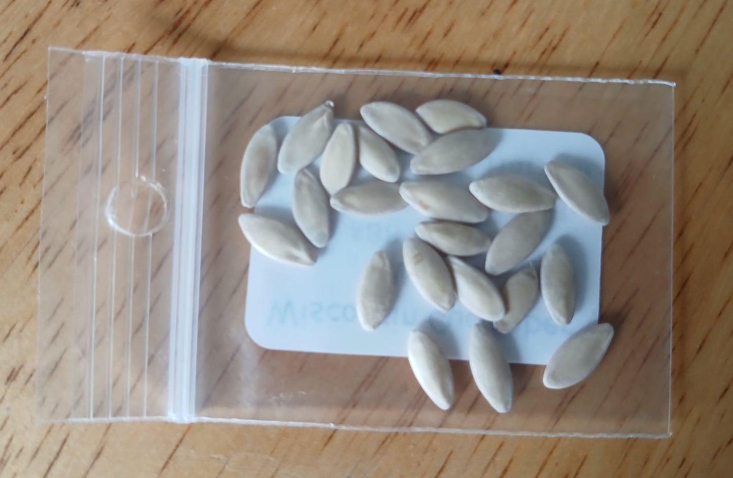 Wisconsin 58 Cucumber Heirloom Seeds