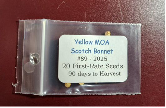 20 - Heirloom Harvest of Quality Fresh Yellow MOA Scotch Bonnet Pepper Seeds
